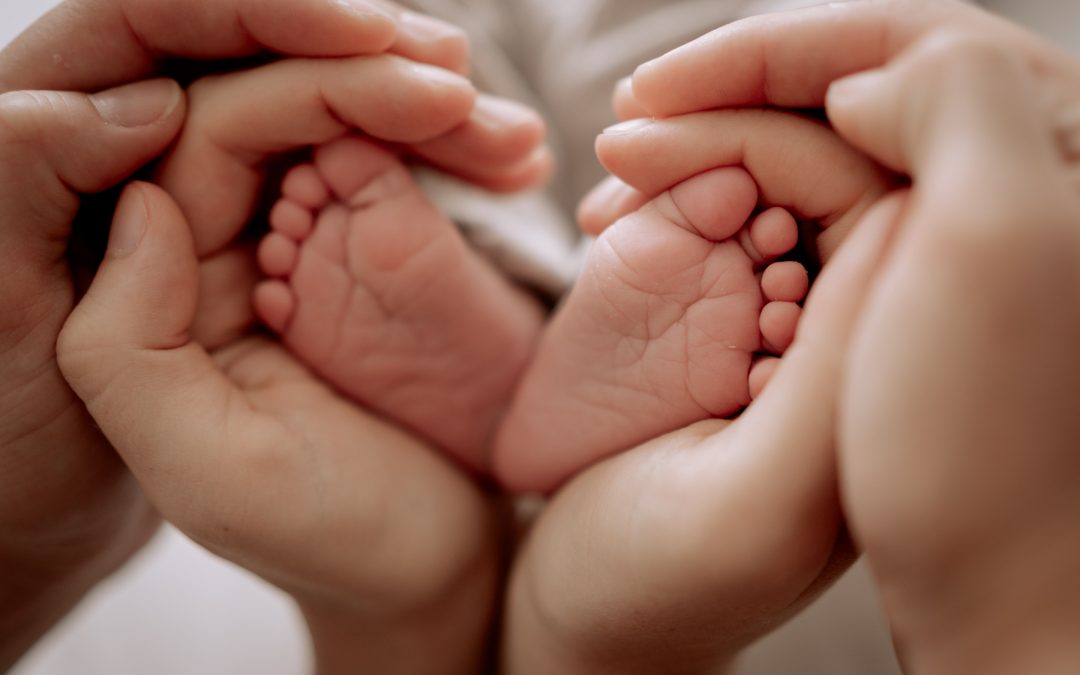 Newborn & Homestory IV